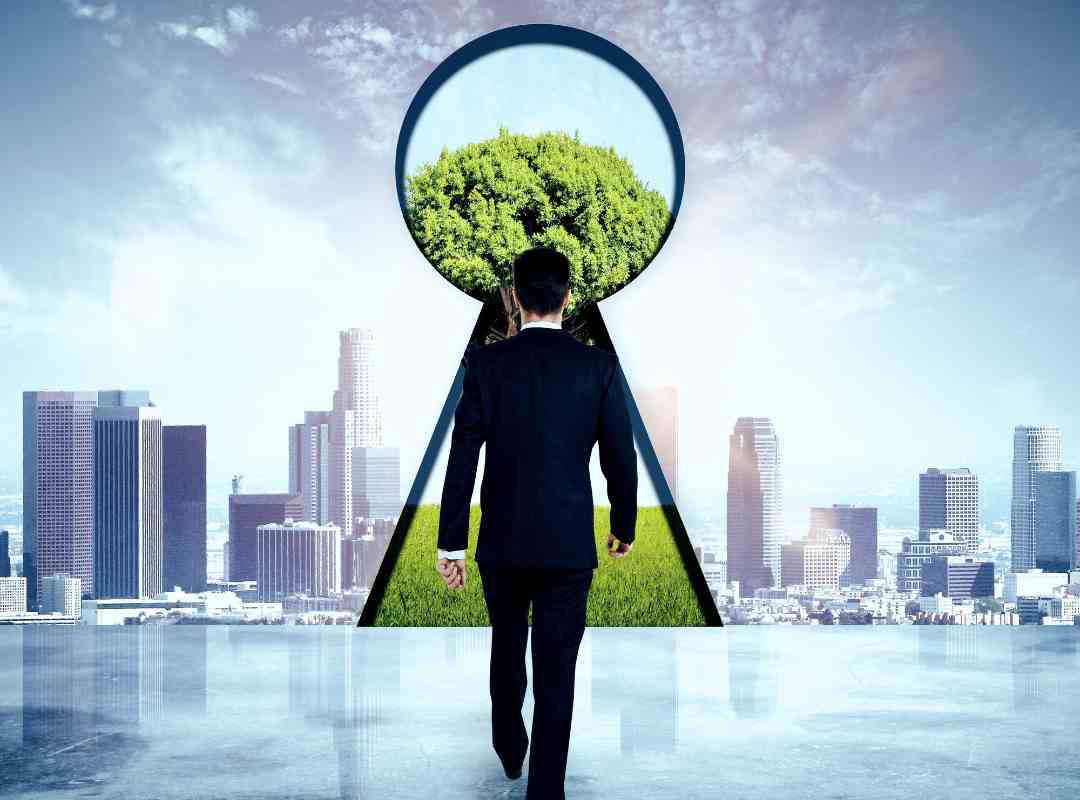 גישה לשוק הגלובלי